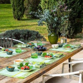 Check out our LeJacquard Francais coated picnic cloths and placemats