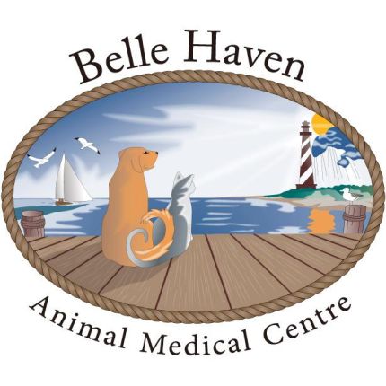 Logo from Belle Haven Animal Medical Centre