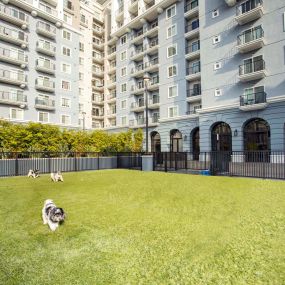 Camden Harbor View Apartments Long Becah CA Private Off Leash Dog Park with Turf