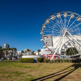 Neighborhood ferris wheel at park