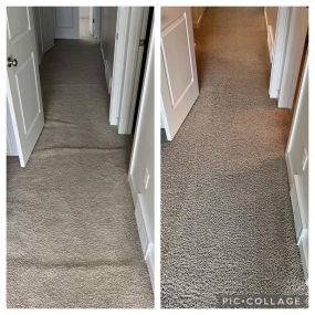 Bild von Green Solution organic carpet cleaning