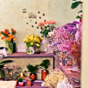 luka:sh : květinová dílna : obchod květinami