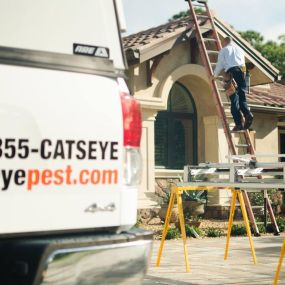 Bild von Catseye Pest Control - Boston, MA