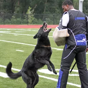 Bild von K9-Training Center