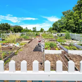 Community Garden Across the Street