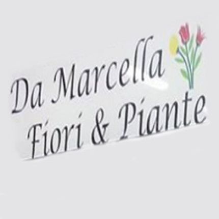 Logotipo de Da Marcella Fiori E Piante