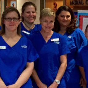 The caring and experienced team at VCA All Animal Hospital of Orange Park!