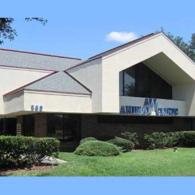 Welcome to VCA All Animal Hospital of Orange Park!