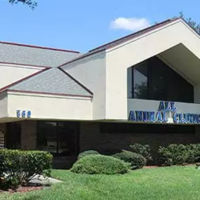 Welcome to VCA All Animal Hospital of Orange Park!