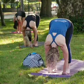 Bild von The Yoga Garden