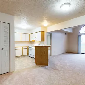 Large Living Room and Kitchen View