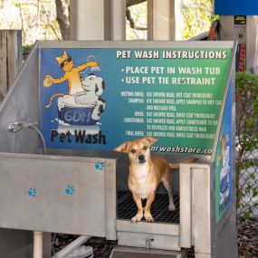 Save your bathtub and wash your dog at the pet wash station.