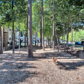 Gated and shaded dog park at Camden Asbury Village in Raleigh, NC.