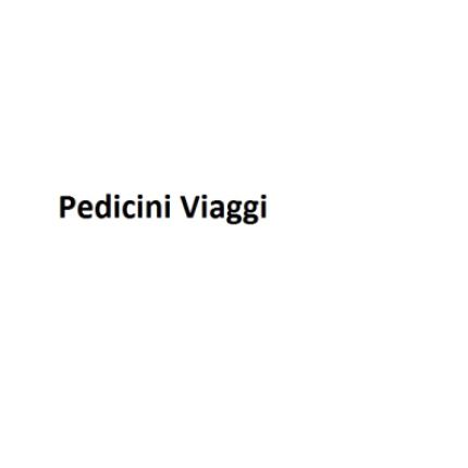 Logo from Noleggio Pullman Pedicini Viaggi