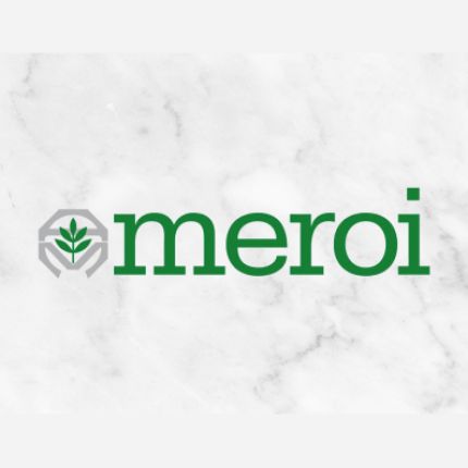 Logotyp från Meroi di Meroi Filippo