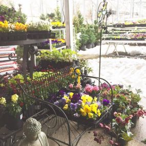 Bild von Western Garden Centers