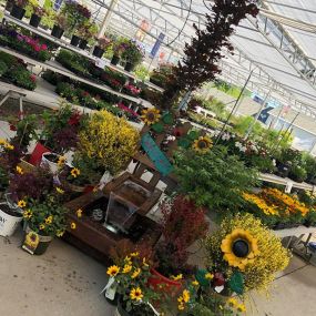 Bild von Western Garden Centers