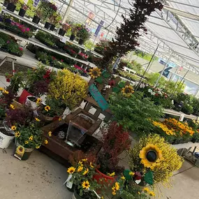 Bild von Western Garden Centers