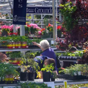 Bild von Western Garden Centers