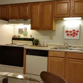 Kitchen Furniture and Appliance