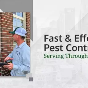 Bild von Preventive Pest Control