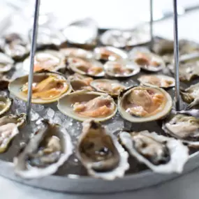 Oysters and Clams at Docks Oyster Bar NYC