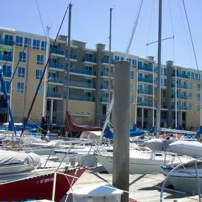 Bild von Dolphin Marina Slips