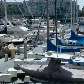 Bild von Dolphin Marina Slips