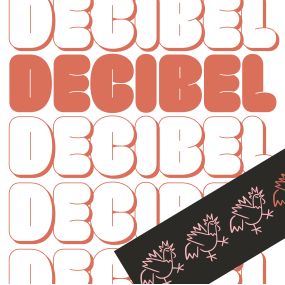 Decibel Korean Fried Chicken Branding