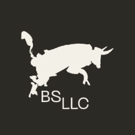 Logo van BS LLC | Award-Winning Branding, Strategy, & Marketing Agency