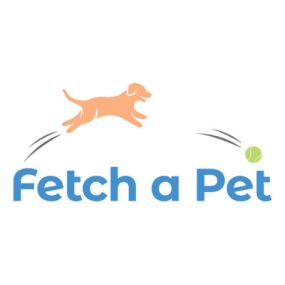 Fetch a Pet