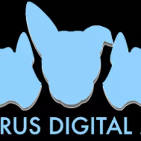 Bild von Cerberus Digital Media