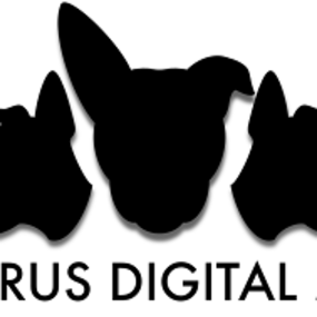 Bild von Cerberus Digital Media