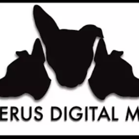 Bild von Cerberus Digital Media