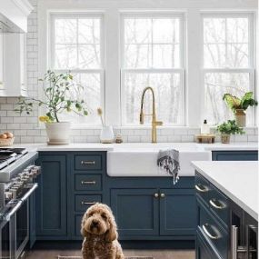 We at Kitchen Tune-Up Savannah Brunswick are dog gone sure of this blue kitchen #trend. Call us today at (912) 424-8907 to get started with your very own trendy kitchen!