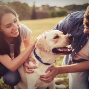 Bild von Pets First Veterinary Clinic