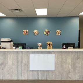 Front desk dogs of Pets First Veterinary Clinic