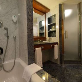 Suite Bathroom