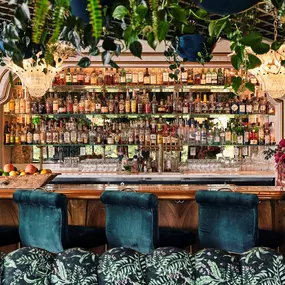 Indoor bar with blue velvet stools beneath hanging greenery and pendant lights.