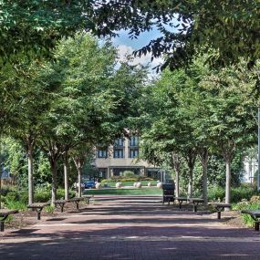 Outdoor tree lined courtyard with benches