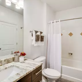 Guest bathroom