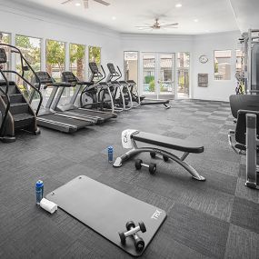 24 hour fitness center with dumbbells weight machines stretching area and cardio machines