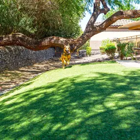 Private offleash dog park with grass and seating areas