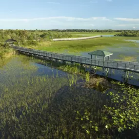 Chapel Trail Nature Preserve near Camden Portofino in Pembroke Pines, Florida