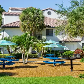 Scenic outdoor dining area