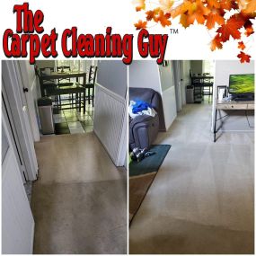 Bild von The Carpet Cleaning Guy