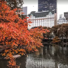 Located inside The Plaza Hotel in downtown New York City.  111SKIN is a luxury, doctor-led brand that bridges the gap between plastic surgery and skincare. Grounded in innovation and backed by science, 111SKIN is powered by the most advanced ingredients and skincare technology on the market.