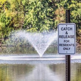Catch and release pond