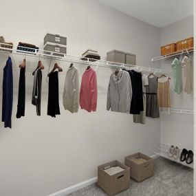 Walk-In closet with built-in wire shelving