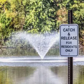 Catch and release pond